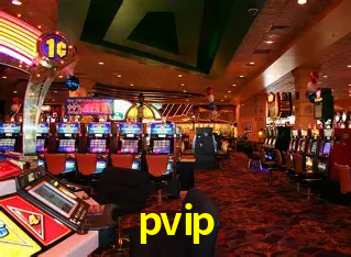 pvip Salvador - Studio Tour