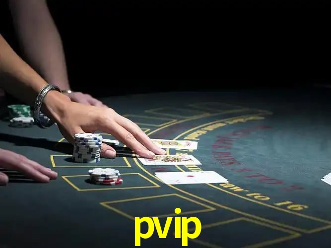 pvip Salvador - Support